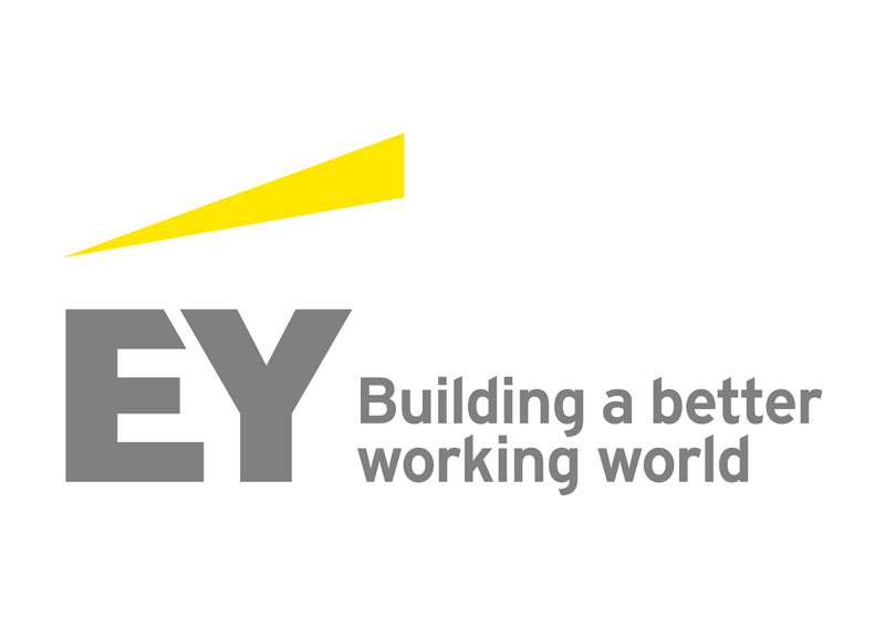 EY logo company purpose and vision case study